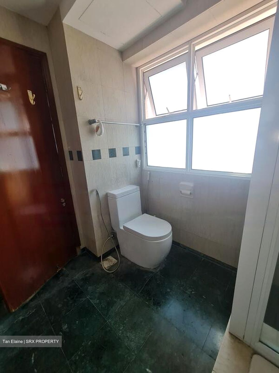 Evergreen Park (D19), Apartment #464234651